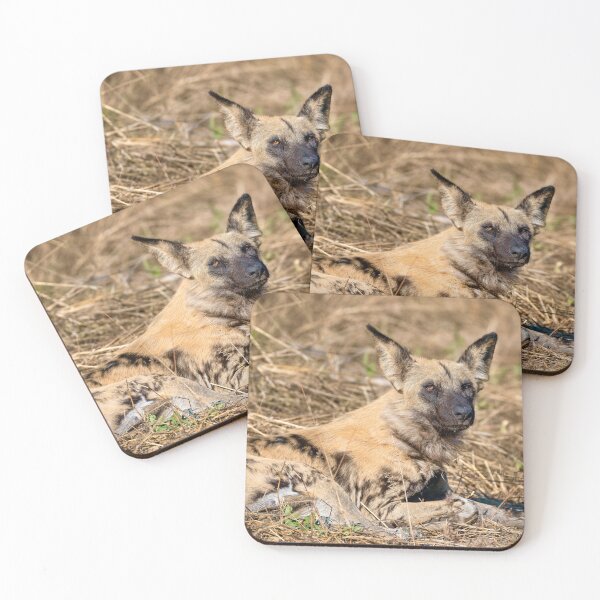 Item preview, African Wild Dog Resting In Dry Grass designed and sold by DavideAntoniani.