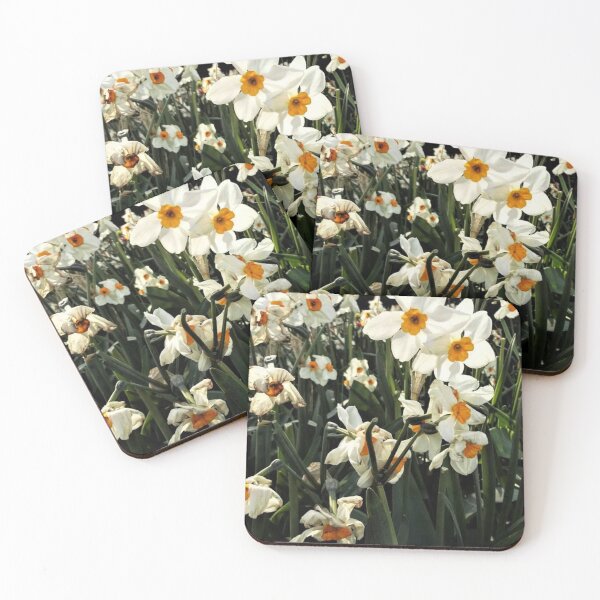 Item preview, Dazzling Daffodils designed and sold by Trisha North.