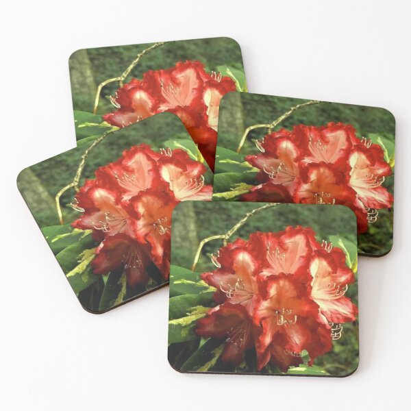 Item preview, Everglow Ruby Roses designed and sold by Trisha North.