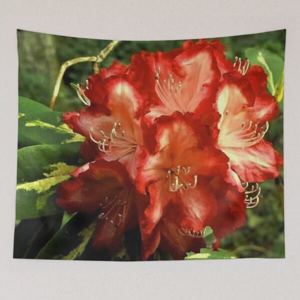 Item preview, Everglow Ruby Roses designed and sold by Trisha North.