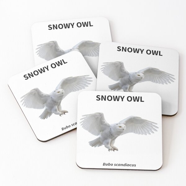 Item preview, The Snowy Owl’s Latin (scientific) name is Bubo scandiacus. designed and sold by The Digital Compass.