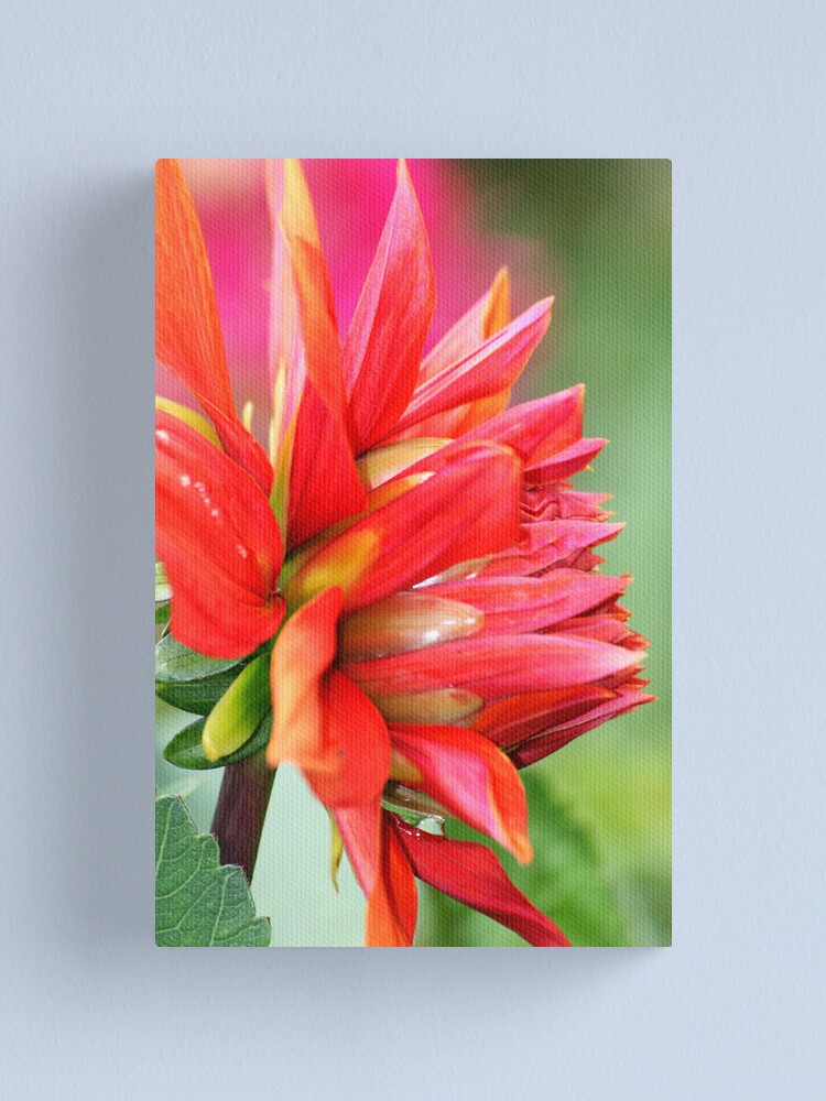 Alternate view of Colourburst Canvas Print