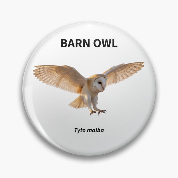 Artikelvorschau, Eine faszinierende Schleiereule (Tyto alba) im Flug entworfen und verkauft von The Digital Compass.