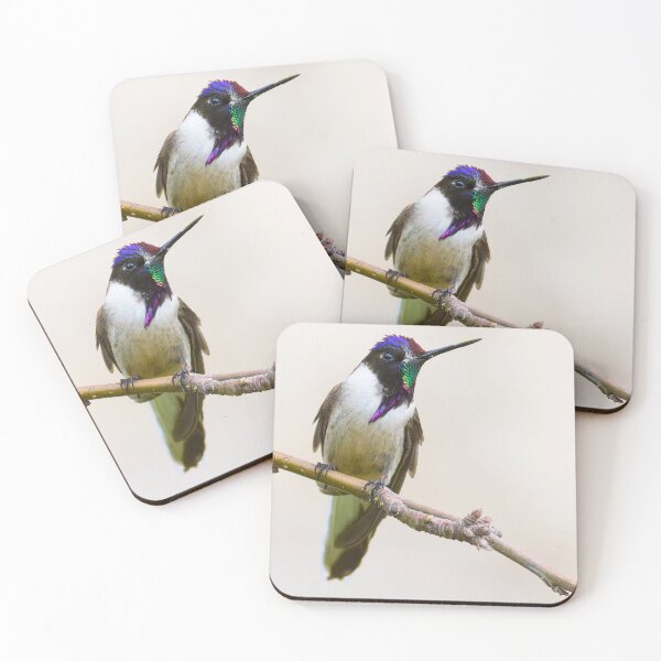 Item preview, Bearded mountaineer hummingbird designed and sold by Yves Roumazeilles (Wild Focus).