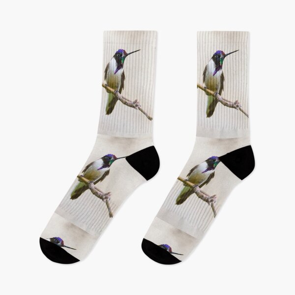Item preview, Bearded mountaineer hummingbird designed and sold by Yves Roumazeilles (Wild Focus).