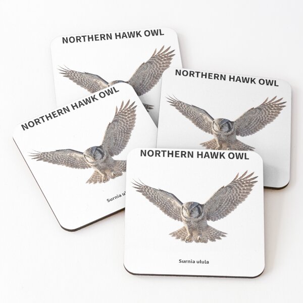 Item preview, Northern Hawk Owl in Flight designed and sold by The Digital Compass.