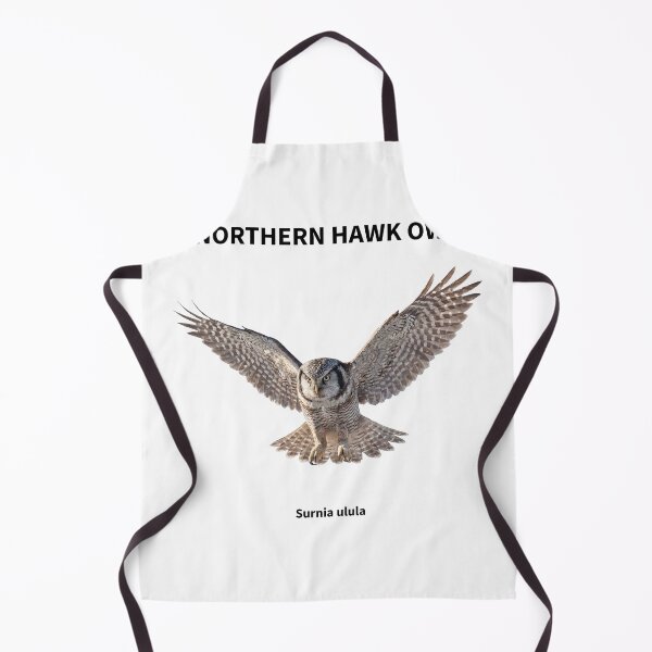 Item preview, Northern Hawk Owl in Flight designed and sold by The Digital Compass.