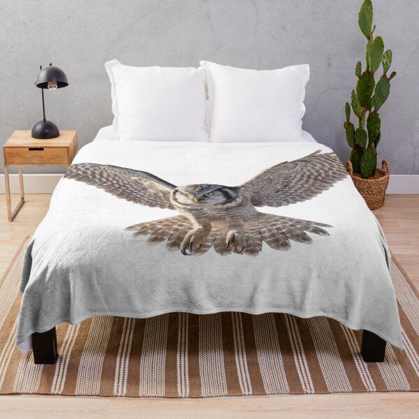 Item preview, Northern Hawk Owl in Flight designed and sold by The Digital Compass.