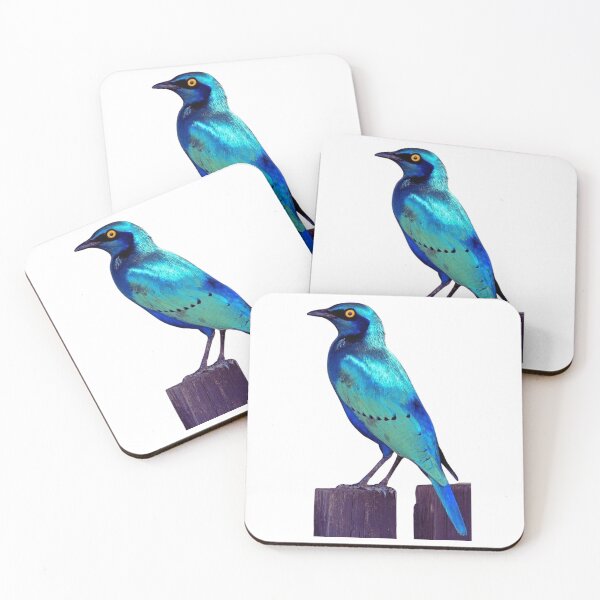 Item preview, Blue starling designed and sold by di-Vera-Rosati.