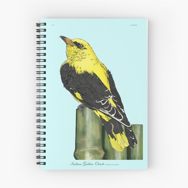 Item preview, Indian golden oriole designed and sold by pavuvu.