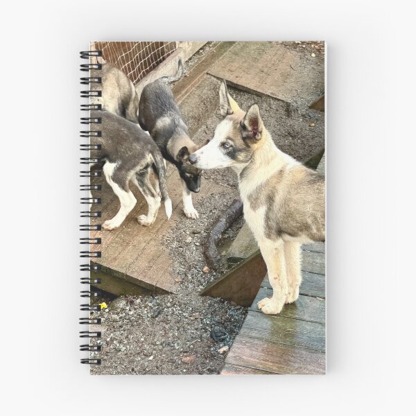 Item preview, Tromso Wilderness Center Dog Sledding designed and sold by Lens & Lightning.