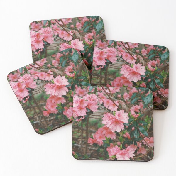 Item preview, Pink Azaleas, 35mm film designed and sold by Charfilms06.