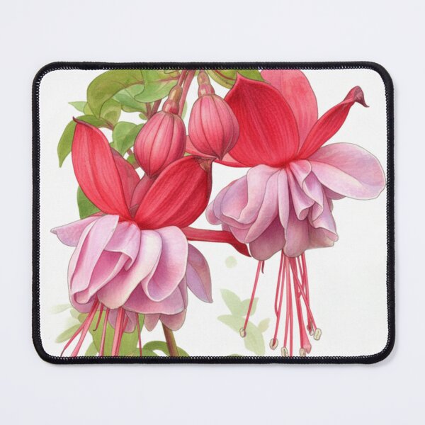 Item preview, Fuchsia designed and sold by AnthonyThomas.