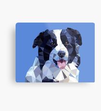 Low Poly Border Colie Dog Metal Print