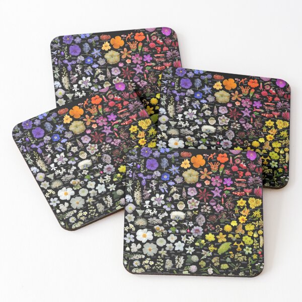 Item preview, Plants of Golden Gate Park - No background color designed and sold by Ricardo Kriebel.