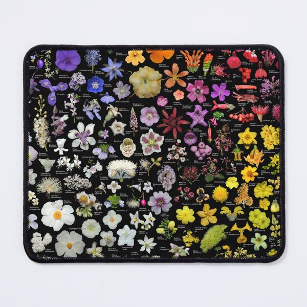 Item preview, Plants of Golden Gate Park - No background color designed and sold by Ricardo Kriebel.