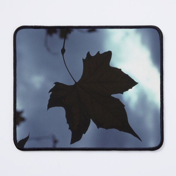 Item preview, Holding the Light: Solitary Leaf Against a Twilight Sky (A Lost Moment Found) designed and sold by AnalogDays.