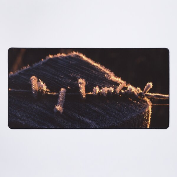 Item preview, Crystallized Barbs: Extreme Frost on a Fence Post at Sunrise designed and sold by AnalogDays.