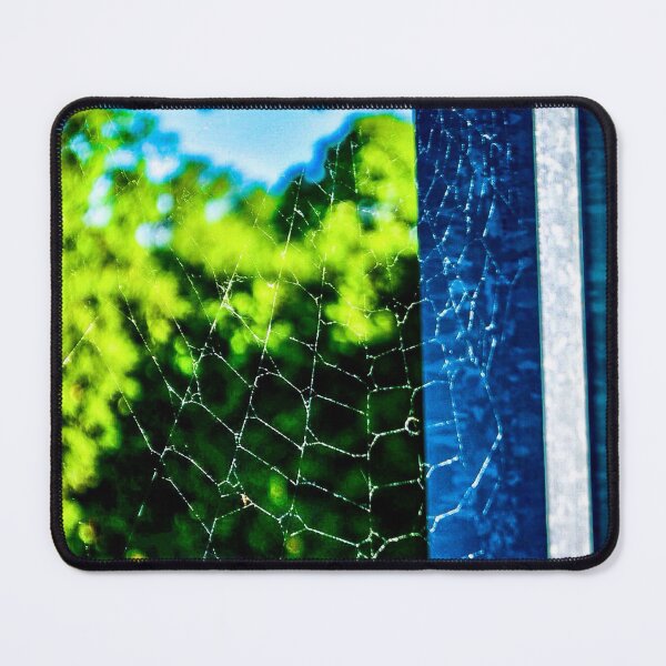 Item preview, Spiderweb in Morning Light – Lake Wisconsin Nature Macro Photo designed and sold by aadventures.
