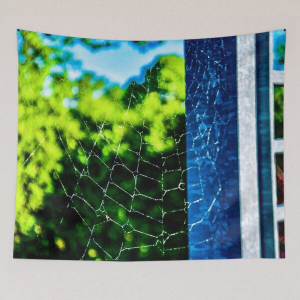 Item preview, Spiderweb in Morning Light – Lake Wisconsin Nature Macro Photo designed and sold by aadventures.