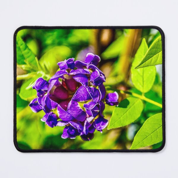 Item preview, Purple Hyacinth Bean Flower Bud – Macro Nature Photography designed and sold by aadventures.