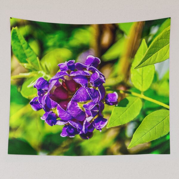 Item preview, Purple Hyacinth Bean Flower Bud – Macro Nature Photography designed and sold by aadventures.