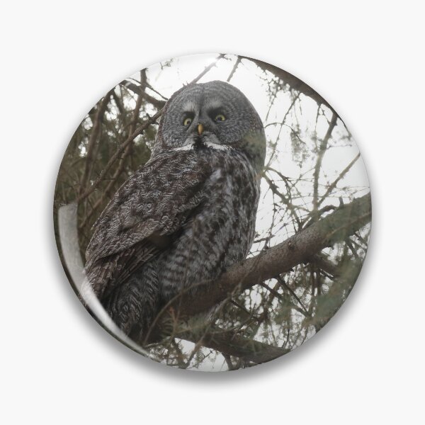 Item preview, Great Gray  designed and sold by locustgirl.