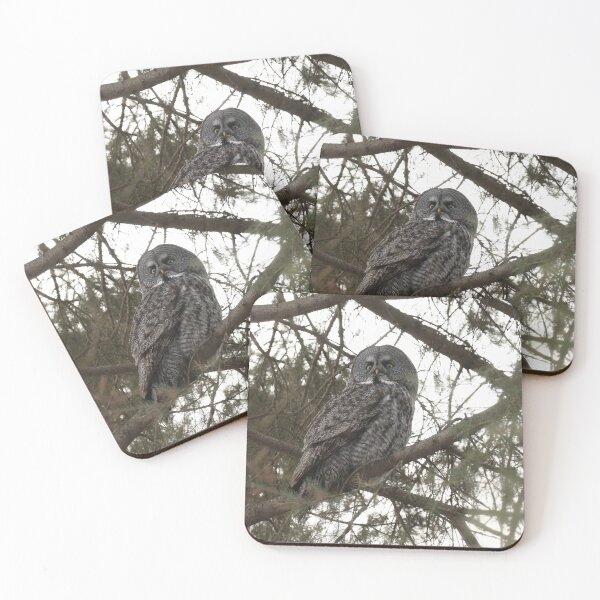 Item preview, Great Gray  designed and sold by locustgirl.