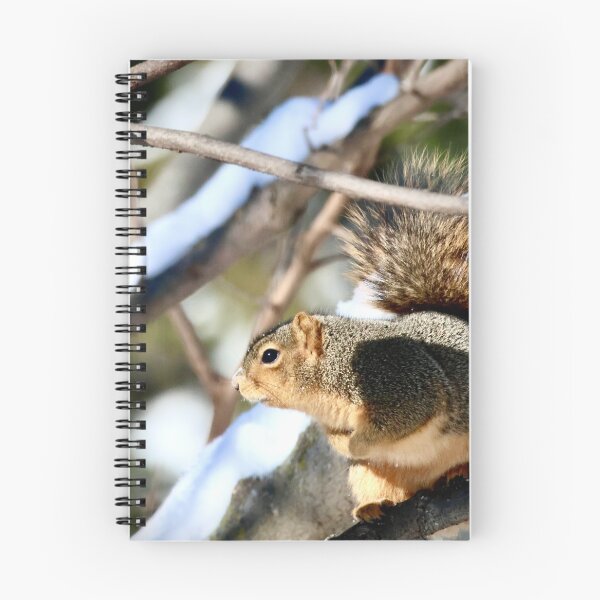 Item preview, Fox Squirrel  designed and sold by Naturally Still Photography.