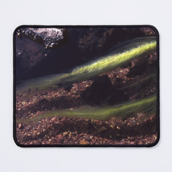 Item preview, Algae in the Stream designed and sold by AnalogDays.