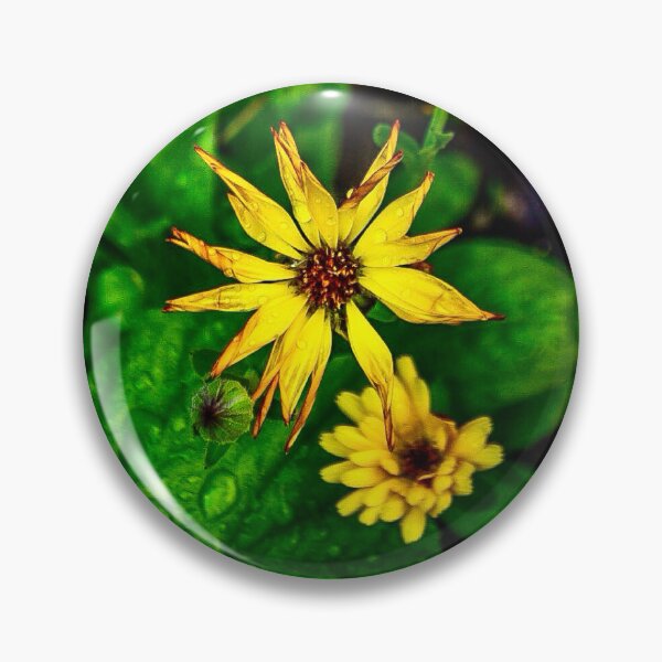Item preview, Yellow African Daisy Macro – Osteospermum Bloom After Rain designed and sold by aadventures.
