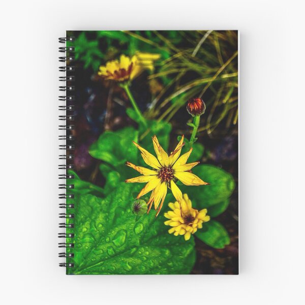 Item preview, Yellow African Daisy Macro – Osteospermum Bloom After Rain designed and sold by aadventures.