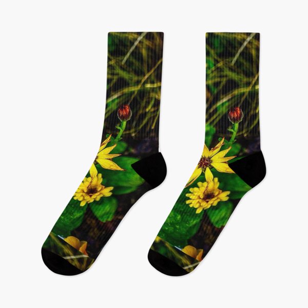 Item preview, Yellow African Daisy Macro – Osteospermum Bloom After Rain designed and sold by aadventures.