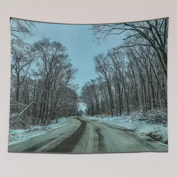 Item preview, Winter Drive at Devils Lake designed and sold by aadventures.