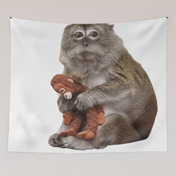 Item preview, Macaque with orangutan stuffed toy designed and sold by monkey zone.