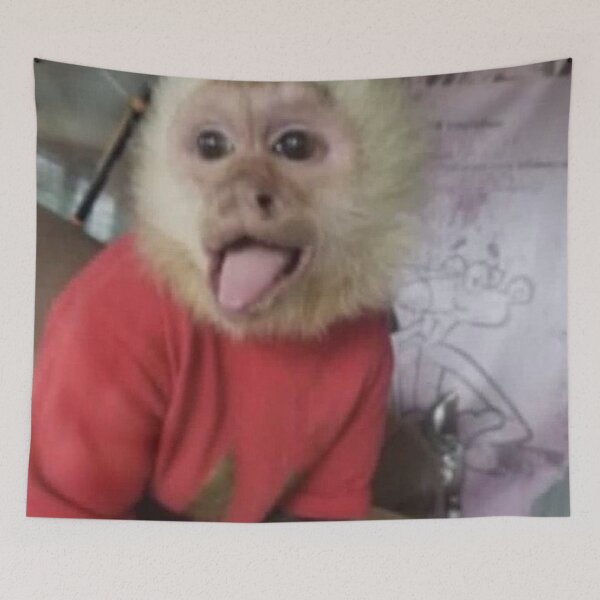 Item preview, goofy ah monkey  designed and sold by monkey zone.