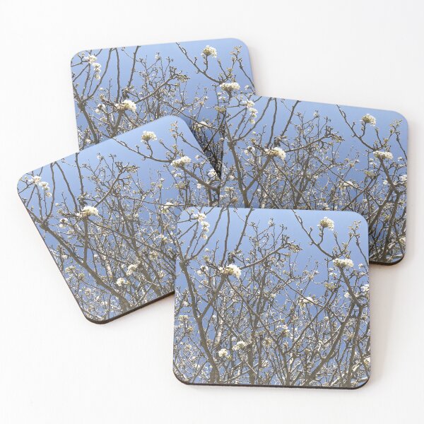 Item preview, Flowers in the sky - Beautiful nature, tree with white flowers art, magical designed and sold by artsychickphoto.