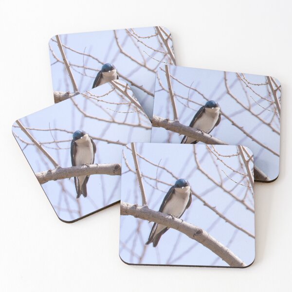 Item preview, Tree Swallow designed and sold by CarolM.