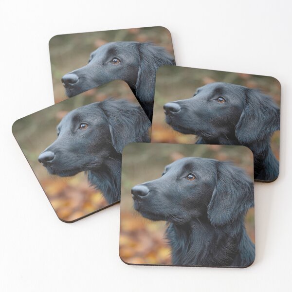 Item preview, Flat Coated Retriever Profile designed and sold by Elisabeth Lucas.