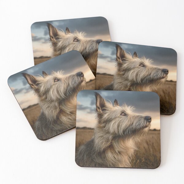 Item preview, Picardy Shepherd at Sunset designed and sold by Elisabeth Lucas.