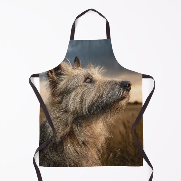 Item preview, Picardy Shepherd at Sunset designed and sold by Elisabeth Lucas.