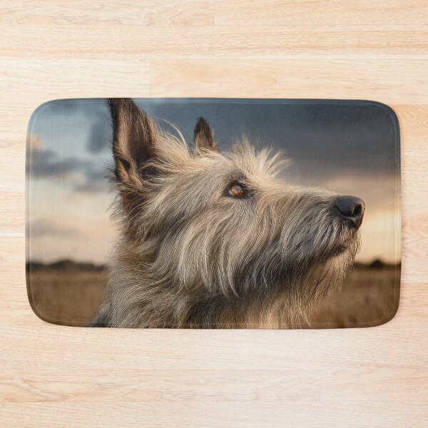 Item preview, Picardy Shepherd at Sunset designed and sold by Elisabeth Lucas.