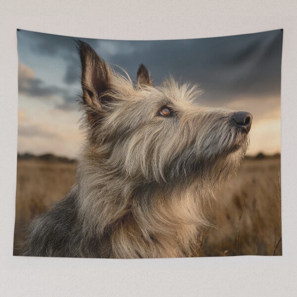 Item preview, Picardy Shepherd at Sunset designed and sold by Elisabeth Lucas.