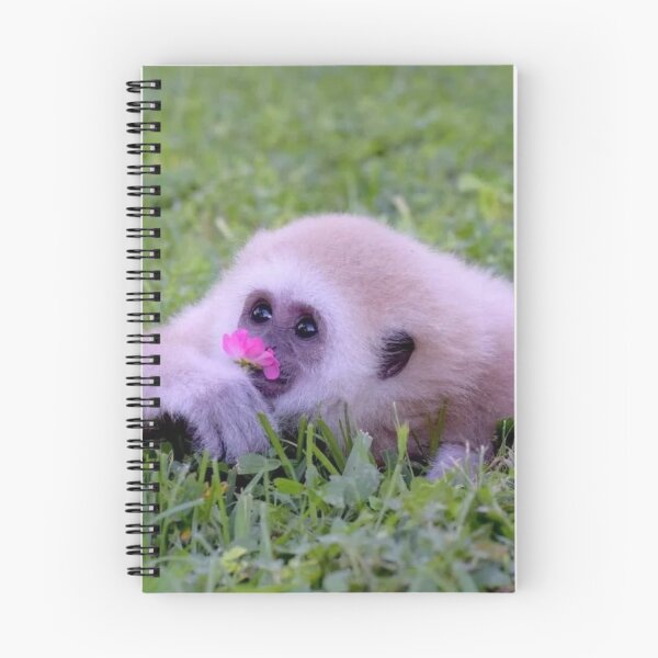 Item preview, Gibbon with flower designed and sold by monkey zone.
