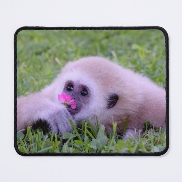 Item preview, Gibbon with flower designed and sold by monkey zone.