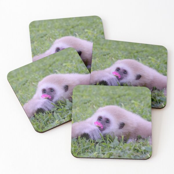 Item preview, Gibbon with flower designed and sold by monkey zone.