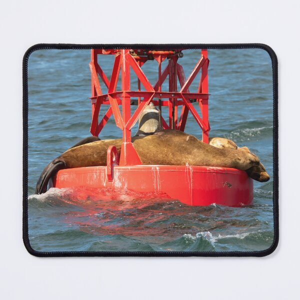 Item preview, Napping in the Sun designed and sold by DawsonImages.