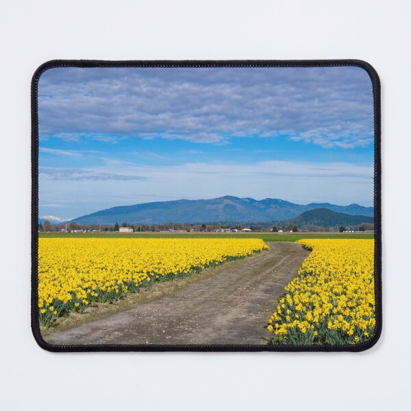 Item preview, Daffodil Path designed and sold by DawsonImages.
