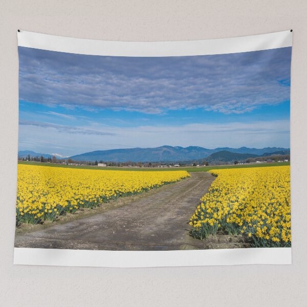 Item preview, Daffodil Path designed and sold by DawsonImages.