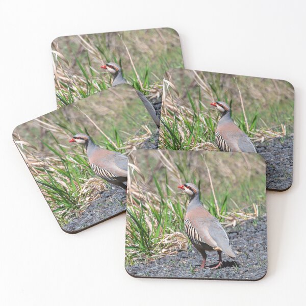 Item preview, Chukar Stroll designed and sold by DawsonImages.